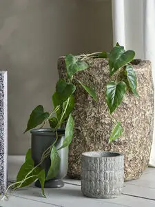 Kunstig plante med grønne, hjerteformede blade i stor, tekstureret potte på gulvet.