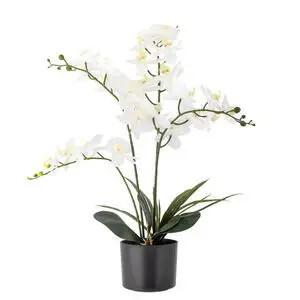 Bloomingville - Orchid Kunstig Plante