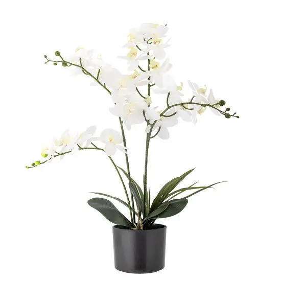 Bloomingville - Orchid Kunstig Plante