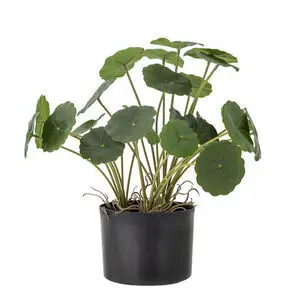 Kunstig plante med runde grønne blade i sort potte.