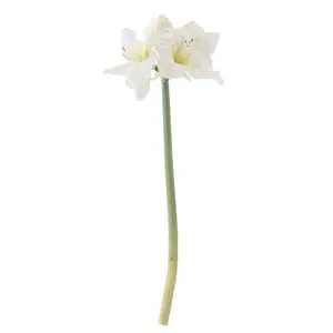 Lang grøn stilk med hvide, detaljerede blomster. Realistisk kunstig Amaryllis fra Bloomingville.