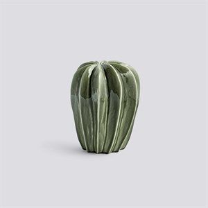 Image of HAY kaktus - Cacti - Uno