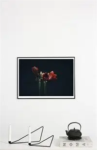 Applicata - Plakat - Dark red - 70x100 cm