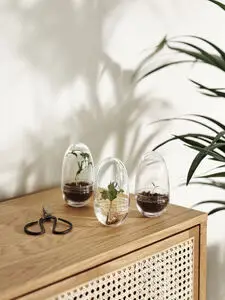 Design House Stockholm - Grow Small - clear