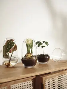 Design House Stockholm - Grow Medium - Clear