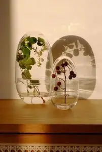 Design House Stockholm - Grow  Large - clear