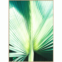 Enklamide - Fotografi - Palm - 50x70 cm