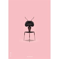 Brainchild - Myren 50x70 cm - Rosa