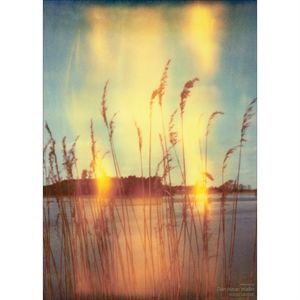 Image of VISSEVASSE - Presence plakat 50 x 70 cm