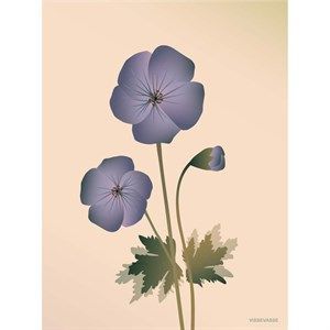 Image of VISSEVASSE - Geranium plakat, nude - 30x40 cm