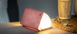 Gingko - LED Smart Fabric Booklight - Blush Pink - Mini 