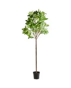 House Doctor - Kunstig plante, HDFig, Green