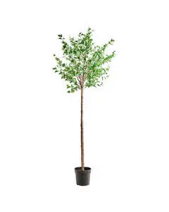 House Doctor - Kunstig plante, HDHornbeam, Green, Purple