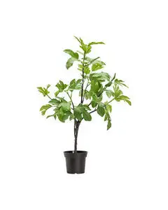 House Doctor - Kunstig plante, HDFig, Green