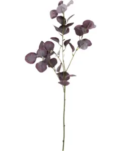 House Doctor - HDEucalyptus, Bordeaux