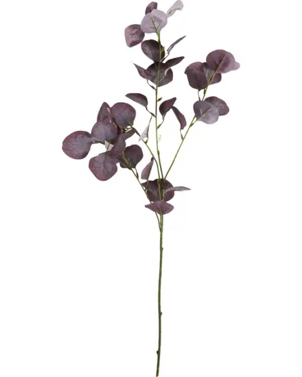 House Doctor - HDEucalyptus, Bordeaux