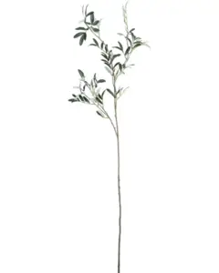 House Doctor - , HDOlive, Grøn