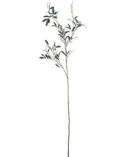 House Doctor - , HDOlive, Grøn