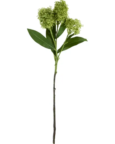 House Doctor - , HDSkimmia, Grøn