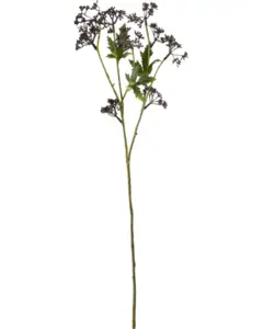 House Doctor - , HDMeadow, Bordeaux