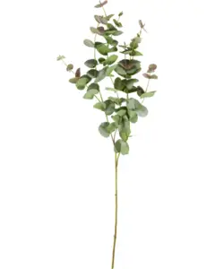 House Doctor - HDEucalyptus, Grøn