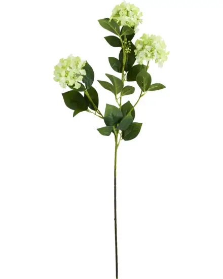 House Doctor - , HDViburnum, Grøn