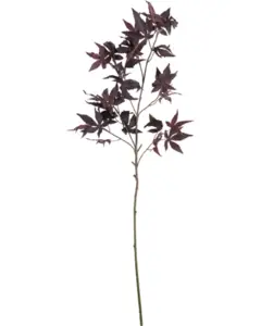 House Doctor - , HDMaple, Bordeaux