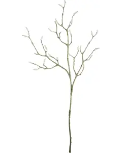 House Doctor - , HDMagnolia, Hvid