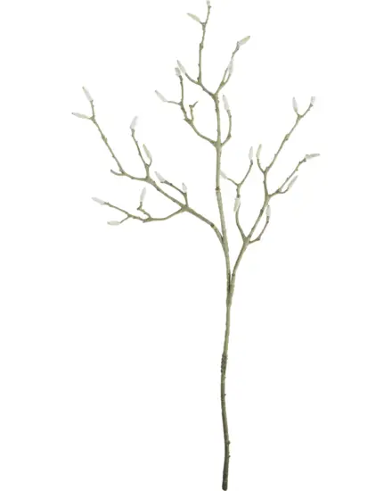 House Doctor - , HDMagnolia, Hvid