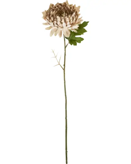 House Doctor - HDChrysanthemum, Støvet rose