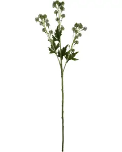 House Doctor - , HDSedum, Grøn