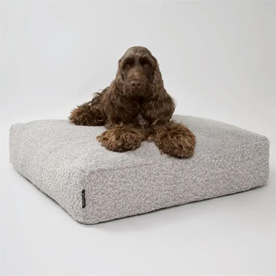 Nordog - Billy Bouclé hundepude - Taupe - Medium