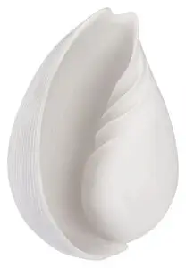 Mette Ditmer - konkylie - CONCH SHELL, LARGE, OFF-WHITE