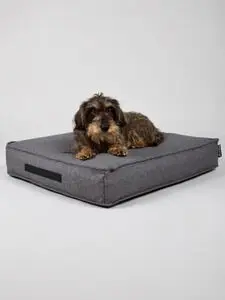Nordog - Hundepude HYGGE Anthracite - medium