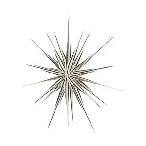 Dekorativ stjerne med symmetrisk design og striber i lyse og mørke farver på spidserne.