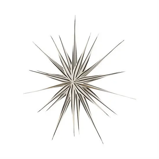 Dekorativ stjerne med symmetrisk design og striber i lyse og mørke farver på spidserne.