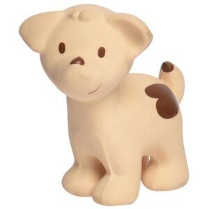 Oyoy - Naturgummi Hund Bidedyr