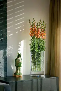 Rektangulær vase med klare sider, fyldt med høje orange blomster på bord ved væg og gardin.
