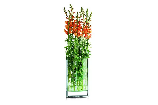 Høj, rektangulær vase med reflekterende overflade. Moderne design med farverige planter indeni.