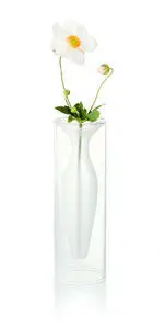 Vase med klar ydre cylinder, hvid indre del, holder en enkelt hvid blomst med gult center.