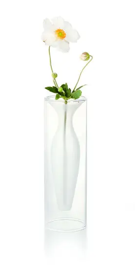 Vase med klar ydre cylinder, hvid indre del, holder en enkelt hvid blomst med gult center.