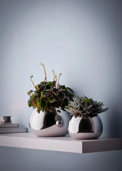 To runde, polerede vaser på hylde med planter, moderne og kompakte i design.