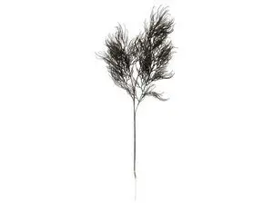 Present time - Artificial plant Asparagus Fern Stem black
