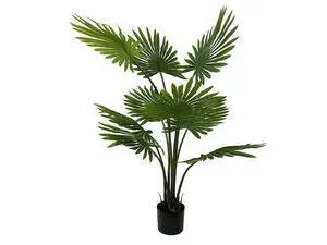 Present time - Artificial plant Fan Palm Tree