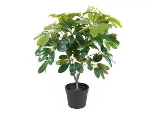 Present time - Artificial plant Shefflera green