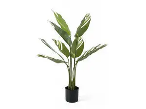Present time - Artificial plant Calathea green w. white