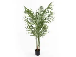 Present time - Artificial plant Kwai Tree