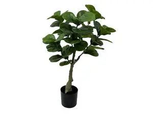 Present time - Artificial plant Ficus