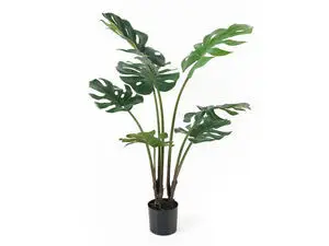 Present time - Artificial plant Monstera