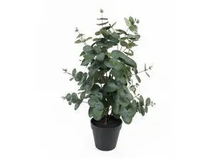 Present time - Artificial plant Eucalyptus Leaf